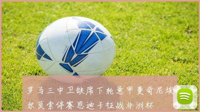 罗马三中卫缺席下轮意甲曼奇尼埃尔莫索停赛恩迪卡征战非洲杯